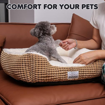 Small Dog Bed for Small Dogs, Cat Beds for Indoor Cats Washable, Rectangle Dog Bed, Warming Soft Calming Sleeping Puppy Bed Durable Pet Bed with Anti-Slip Bottom (20 inch, Coffee)