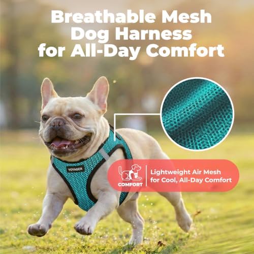Voyager Step-in Air Dog Vest Harness - Turquoise 2-Tone, X-Large