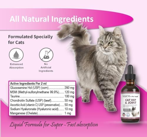 NODENS Cat Hip and Joint Liquid Glucosamine for Cats with Chondroitin