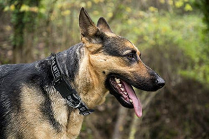 Pets First NBA SAN Antonio Spurs Dog Collar, Size Medium. Best Pet Collar for All Sports Fans