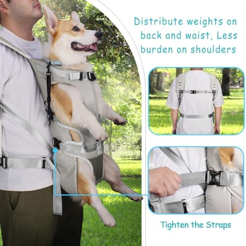 PetBonus Dog Front Carrier Backpacks, Legs Out Easy-fit Puppy Chest Carrier