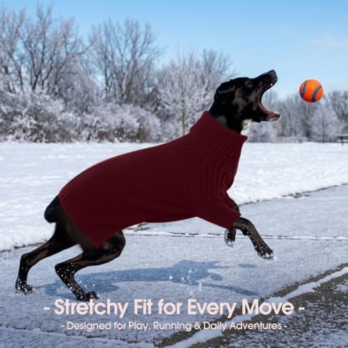 IECOii Small Dog Sweater, Warm Turtleneck for Small to Medium Dogs, L