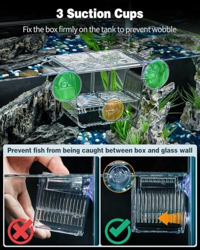 Pawfly Aquarium Breeding Box, Acrylic Fish Isolation Box with 6 Suction Cups, Aquarium Acclimation Hatchery Incubator for Baby Shrimp Betta Aggressive Fish Guppy (Small)
