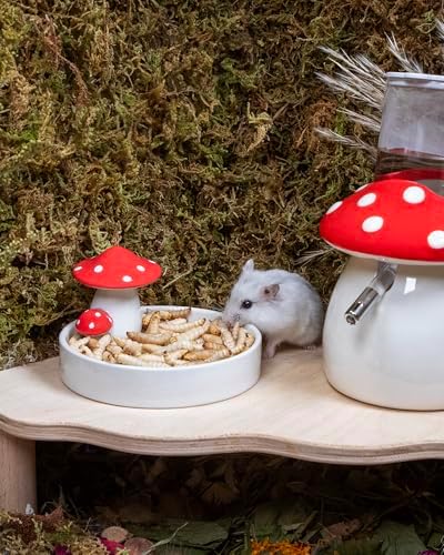 Niteangel Small Animal Snack & Treats - Freeze-Dried Worms & No Additive