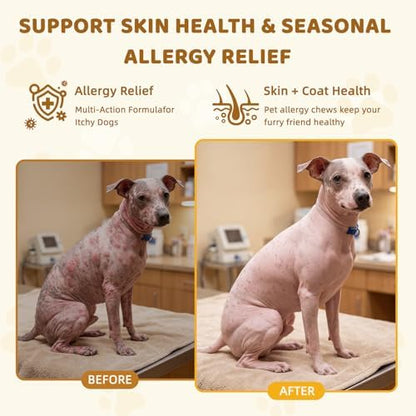 Dog Allergy Relief Chews: Anti-Itch Probiotics for Paw Licking, Seasonal Allergies & Skin Allergy - Dog Allergy Itching Skin Relief & Immune Support with MSM & Turmeric - Chicken Flavor
