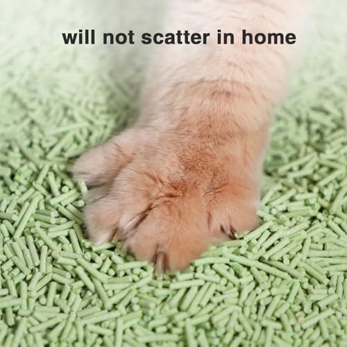 Dust-Free Quickly Absorb Odors Natural Tofu Cat Litter 12LB/Gr
