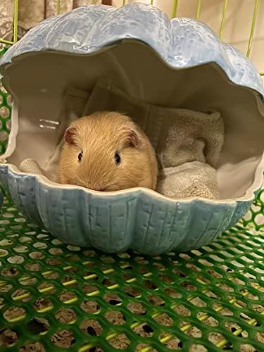 Small Animal Hideout Extra Large Ceramic Shell Shape Guinea Pig House Chinchilla Igloo Habitat Hut Cave Summer Bed Cage Accessories for Hedgehog Rabbit Hamster Gerbil Rat (XL (9.5''x7''x7.9''), Blue)