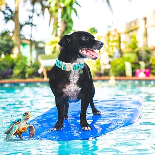Lionheart glory Dog Collar Blue Sea Turtles Dogs Collar Spring Summer Cute Collars Dog Boy or Girl Soft Durable Adjustable Dog Collars for Small Dogs Pet Gift