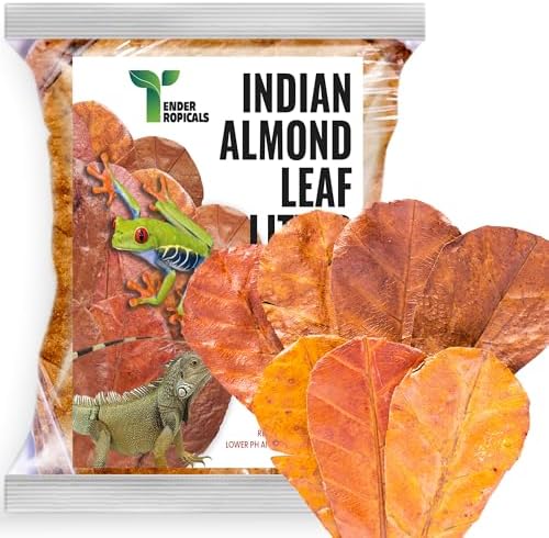 Frog Tank Accessories – 100 Pcs 3" Indian Almond Catappa Leaves, Natural Leaf Litter for Tree Frogs, Bioactive Terrarium Accessories, Amphibian Habitat Decor