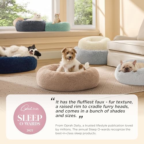 Bedsure Calming Cat Beds Donut Round Washable Kitten Bed,20 inches Green