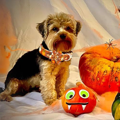 Elegant little tail Fall Dog Collar, Halloween Pet Collars with Flower Cute Pumpkin Print Puppy Collar Female or Male Cotton Adjustable Collars for Small Medium Large Dogs