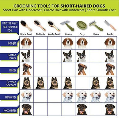 Coastal Pet Safari Comfort Grip Curry Brush for Dogs - Dog Bath and Shampoo Brush and Massager for Indoor & Outdoor Dogs with Short Hair - One Size