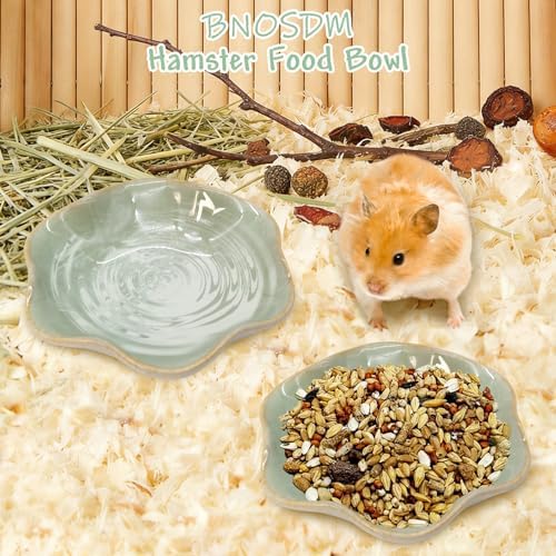 BNOSDM Shallow Ceramic Hamster Food Dish 2 Pcs Small Animals Food Bowl Lotus Feeding Dishes for Gerbils Mice Rats 4.5in (Green)