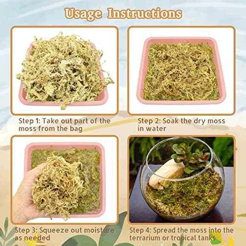 Riare 2.2LB Natural Sphagnum Moss for Reptiles- Terrarium Reptiles Moss