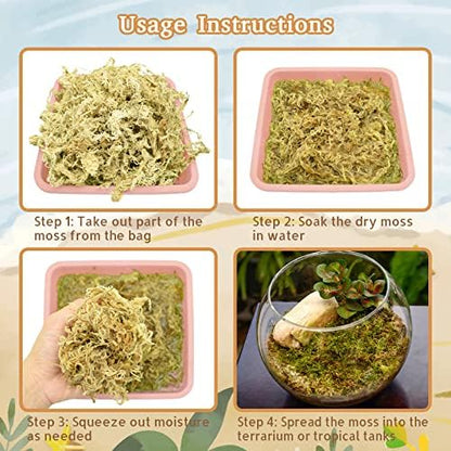 Riare 2.2LB Natural Sphagnum Moss for Reptiles- Terrarium Reptiles Moss