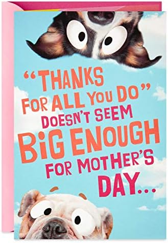 Hallmark Funny Pop Up Mother's Day Card (Dog Banner)