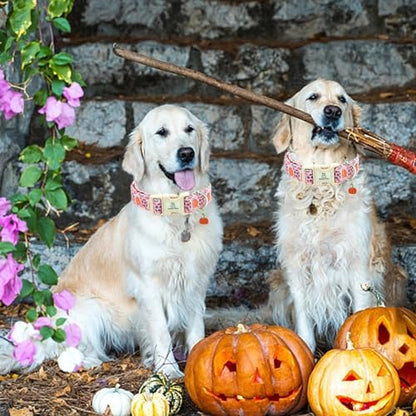 Lionheart glory Halloween Dog Collar-Pumpkin Floral Fall Pink Dog Collars with Cute Ghost Pendant Soft Adjustable Collar for Large Dogs Female Male Collars Party Pet Gift