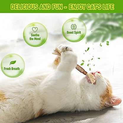 BAWAN Silvervine Sticks Cat Chew Toys for Indoor Cats Dental Care Teeth Cleaning, Natural Kitten & Cat Teething Toys for Health, Cat Chew Stick Suitable for All Breeds of Aggressive Chewers Cat