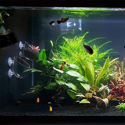Aquatic Plant Holders Bonsai Pots Clear Aquarium Tanks Bare-Bottom Tanks Shrimp Glass Pots Fish Tanks with 2 Suckers for Home Fish Aquarium Furniture Decor 2 Pcs