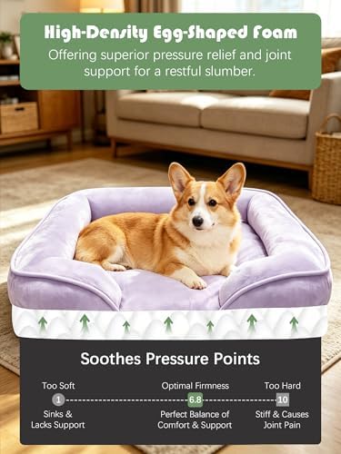 Spotted Play Orthopedic Dog Bed with Sides - Sofa Beds for Medium Dogs, Supportive Foam Pet Couch Bed with Washable Removable Cover, Waterproof Lining and Non-Slip Bottom, Purple - M