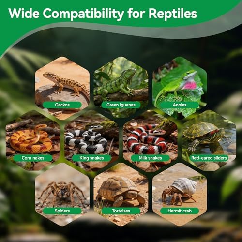 Natural Coconut Fiber Substrate 5 Pack Coco Soil Brick Reptile Substrate