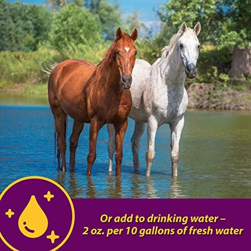 Farnam Horse Health Apple-Dex Apple Flavored Electrolytes Powder for Horses, 5 pound