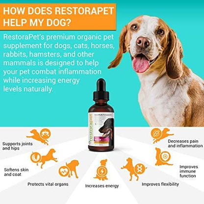 RestoraPet AM Daily Antioxidant Supplement for Dogs & Cats, Bacon, 2-Pack