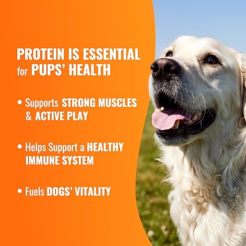 GOOD 'N' FUN Twists Long-Lasting Dog Treat with Real Bully, 6 Count