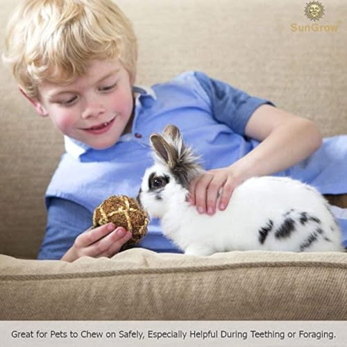 SunGrow Assorted Rabbit & Cat Chew Balls, Teething Activity Toy for Pocket Pets, Improves Dental Health, Environment Friendly, Stress Reliever (Coco Fiber, 6 Pcs)