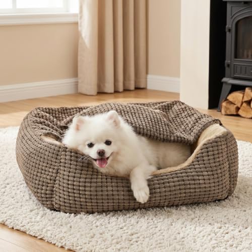 GASUR Dog Beds for Small Dogs with Cover Cave, Cat Beds for Indoor Cats, Rectangle Hooded Dog Puppy Bed with Blanket, Cozy Anti-Anxiety, Anti-Slip Bottom and Machine Washable(20", Brown)