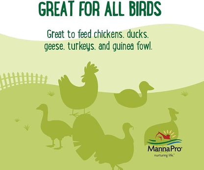 Manna Pro Farmhouse Favorites – Coop Cakes for Poultry – Mixed Flock Poultry Treat – Chicken Treat Cake – Made with Sunflower & Mealworms – 3 Cakes