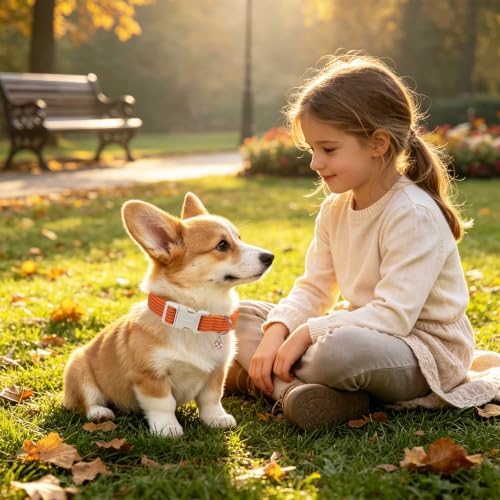 DOGWONG Orange Girl Boy Striped Dog Collar for Small Medium Large Dogs L