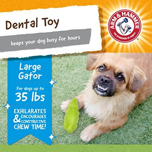 Arm & Hammer Super Treadz Gator Dental Dog Chew Toy, Large, 7 Inch, 12-Pk