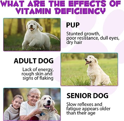 15-in-1 Dog Multivitamin Drops, Liquid Multivitamin Drops for Dogs, 2 oz