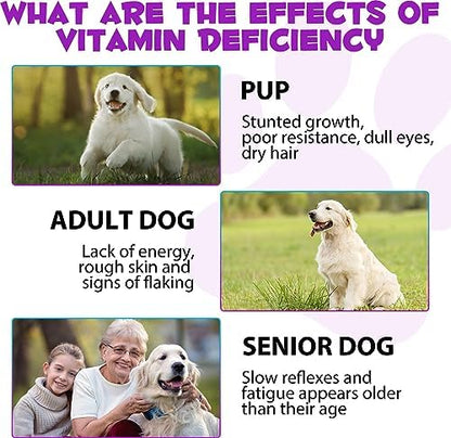 15-in-1 Dog Multivitamin Drops, Liquid Multivitamin Drops for Dogs, 2 oz