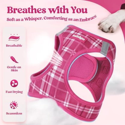 rabbitgoo Dog Harness Medium Sized and Leash Set, Step-in Puppy Pet Vest