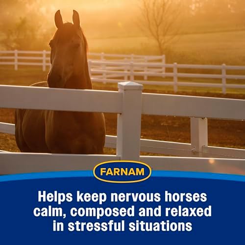 Farnam Quietex II Horse Calming Paste, Magnesium Supplement, 32.5 ml