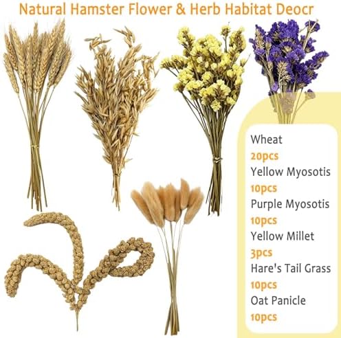 Natural Hamster Flower & Herb Habitat Deocr, Edible Hamster Sprays Flowers Bedding Mate, Hamsters Cage Enrichment Decoration Accessories for Gerbil Dwarf Syrian Hamsters Guinea Pig Mice