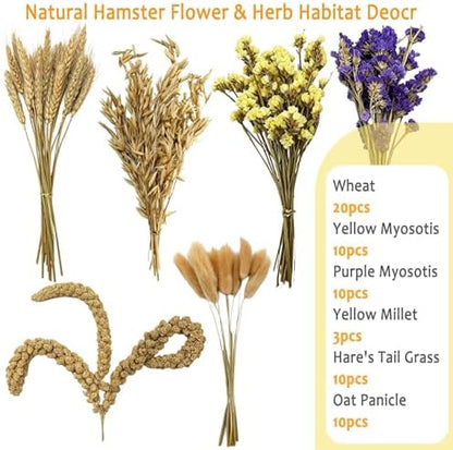 Natural Hamster Flower & Herb Habitat Deocr, Edible Hamster Sprays Flowers Bedding Mate, Hamsters Cage Enrichment Decoration Accessories for Gerbil Dwarf Syrian Hamsters Guinea Pig Mice