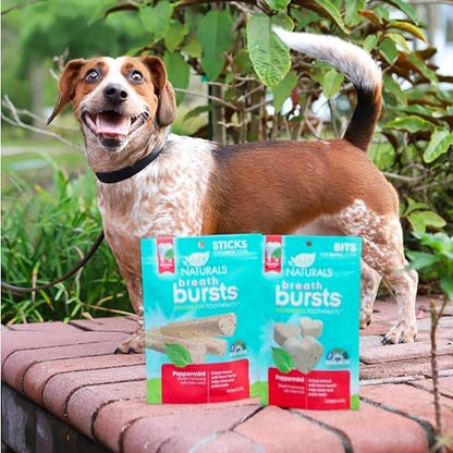 ARK NATURALS Breath Bursts Peppermint Dog Dental Sticks, Large Breed (6 oz)