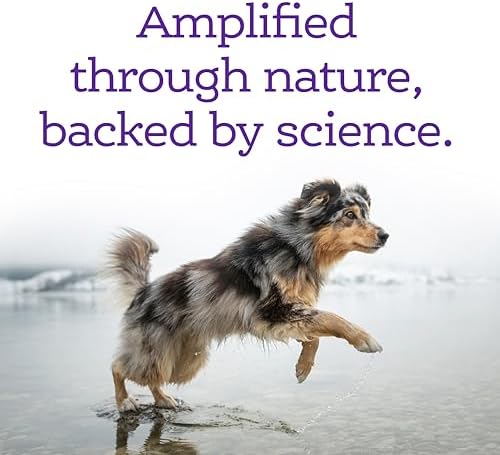 NutriSource AmpliFull Turkey Flavor Calming Dog Soft Chews, Daily Anxiety & Stress Relief Supplement for Dogs, High Absorption for Relaxation, 70 Chews (1 Pack)