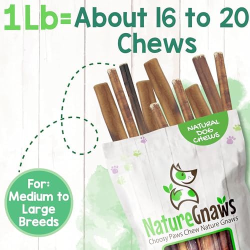 Nature Gnaws Bully Sticks 6" Long Lasting Rawhide Free Dog Chews, 1 lb
