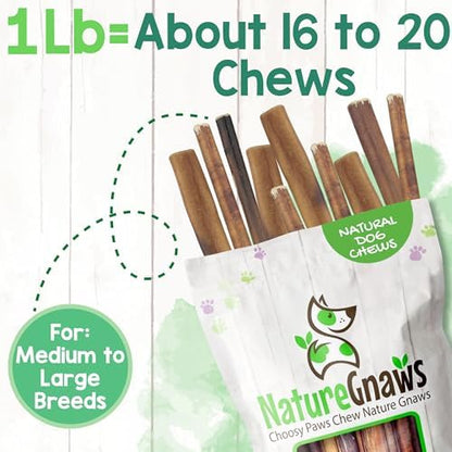 Nature Gnaws Bully Sticks 6" Long Lasting Rawhide Free Dog Chews, 1 lb