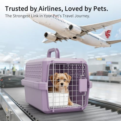 RIZZARI Crate Small Animal Carrier: Secure Lock Ventilated Shell Design