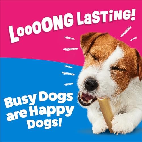 Purina Busy Bone Adult Small Dog Chew Treats, Original, (8) 4 ct Pouches
