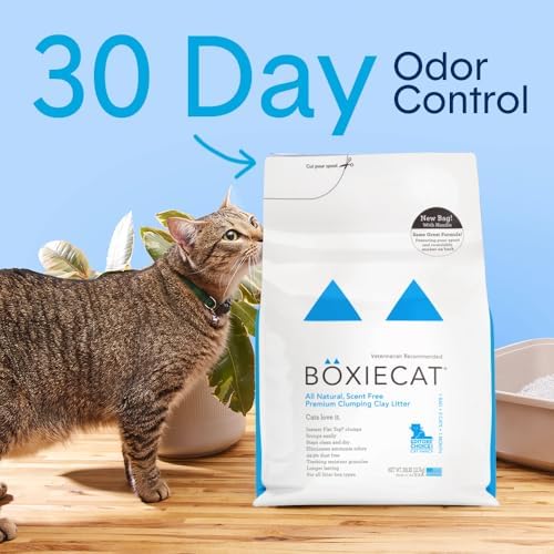 Boxie Premium Unscented Clumping Cat Litter 30+ Day Odor Control 16 lb