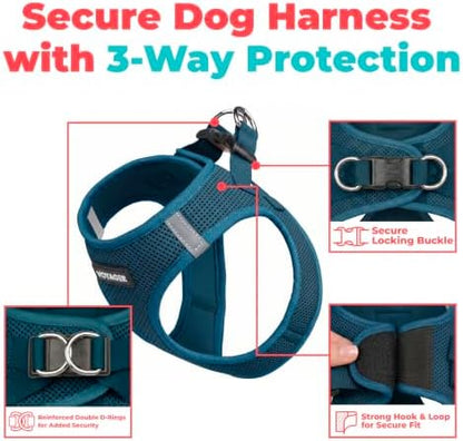 Voyager Step-in Air Dog Vest Harness - Blue, Large