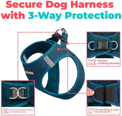 Voyager Step-in Air Dog Vest Harness - Blue, X-Large