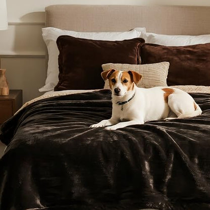 gogobunny Waterproof Blanket for Bed Couch, Sherpa Fleece Throw, 50x60