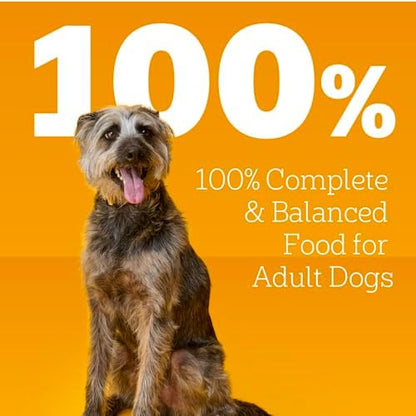 Pedigree Choice Cuts Wet Dog Food, Steak & Vegetable, 13.2 oz, 12 Count